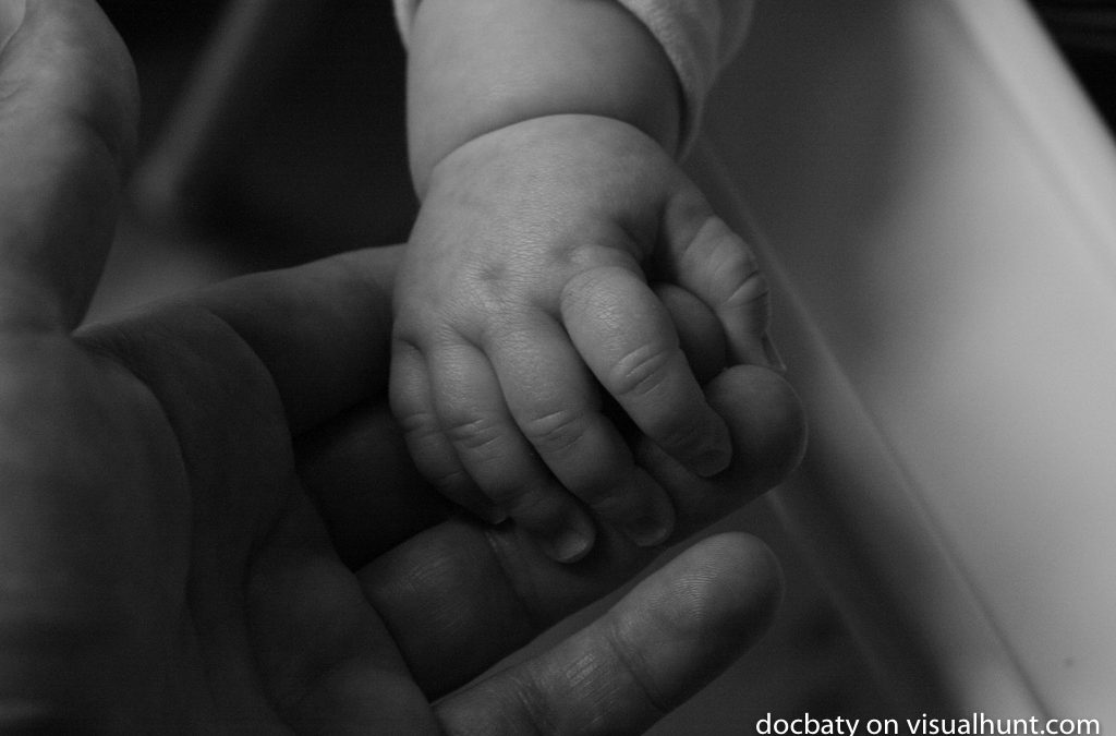 A Leadership Proposal – Focus on Trust and Talent