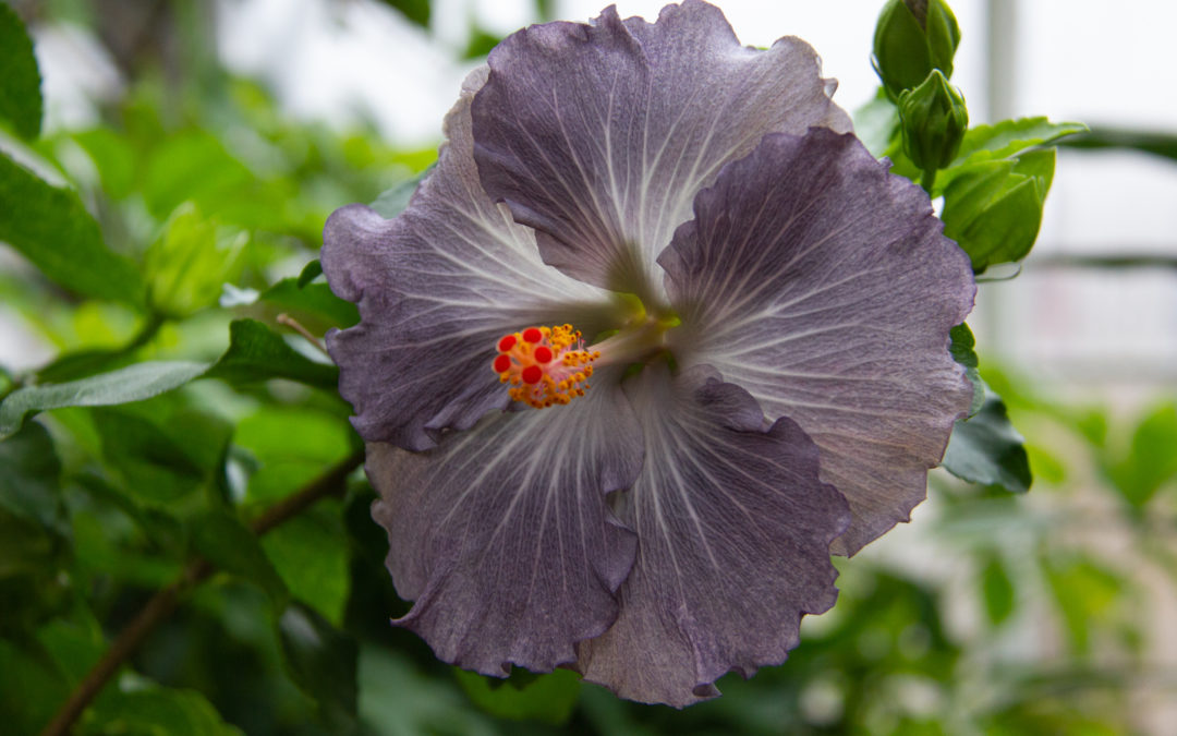 Stories, Symbols and Values